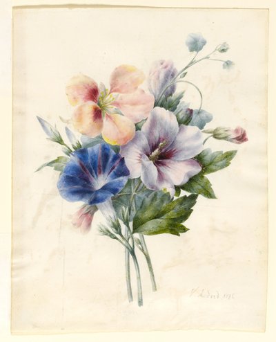 Fiori Inclusi Convolvolo Blu, 1836 da V. Medard